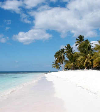 DALL’8 AL 16 DICEMBRE 2018 | BAYAHIBE