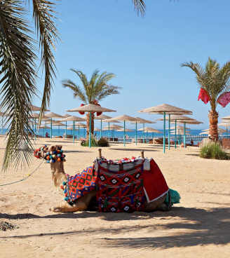 DAL 22 AL 29 DICEMBRE 2018 | SHARM EL SHEIKH