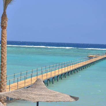 DAL 26 SETTEMBRE AL 3 OTTOBRE 2019 | MARSA ALAM