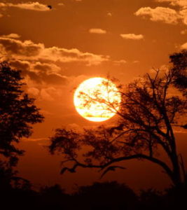 Tramonto africano